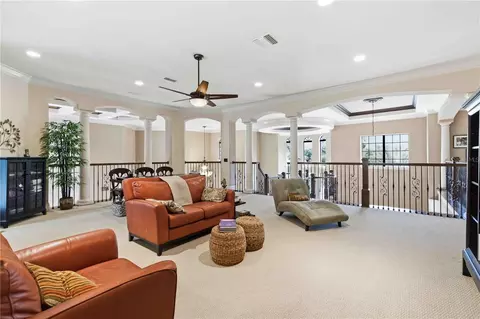 Other - 16220 Ternglade Dr, Lithia, FL 33547 photo 10 of 18