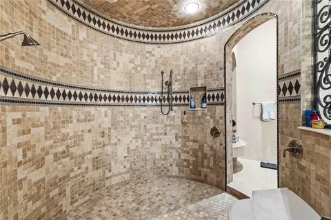 Bath - 16220 Ternglade Dr, Lithia, FL 33547 photo 2 of 9
