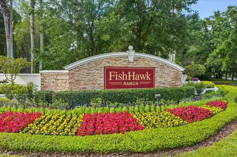 View/Area - 16220 Ternglade Dr, Lithia, FL 33547 photo 6 of 9