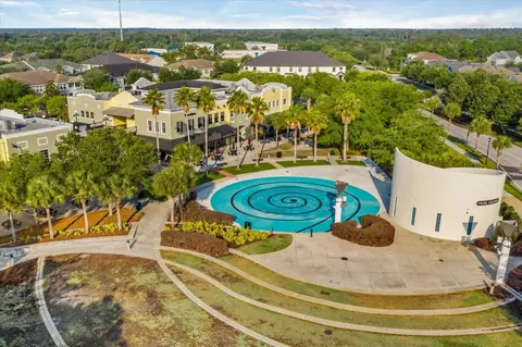 View/Area - 16220 Ternglade Dr, Lithia, FL 33547 photo 8 of 9