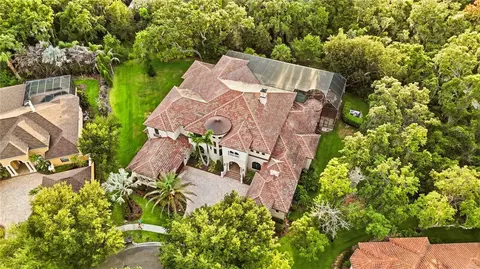 View/Area - 16220 Ternglade Dr, Lithia, FL 33547 photo 1 of 9