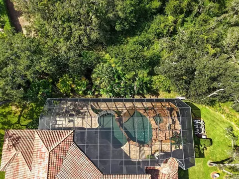 View/Area - 16220 Ternglade Dr, Lithia, FL 33547 photo 5 of 9