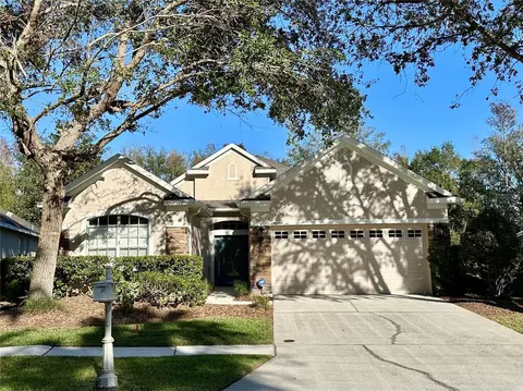 10234 Evergreen Hill Dr, Tampa, FL 33647