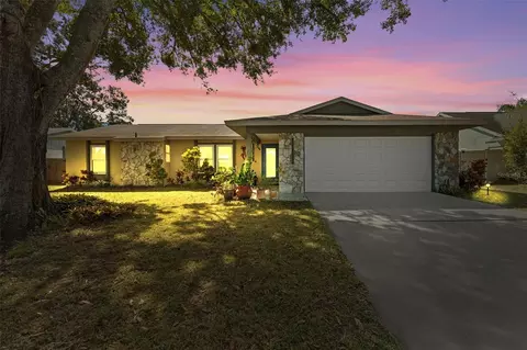 5816 Silver Moon Ave, Tampa, FL 33625