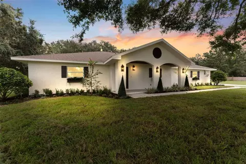 10204 Tranquil Ln, Odessa, FL 33556