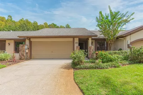 3923 Shoreside Cir, Tampa, FL 33624