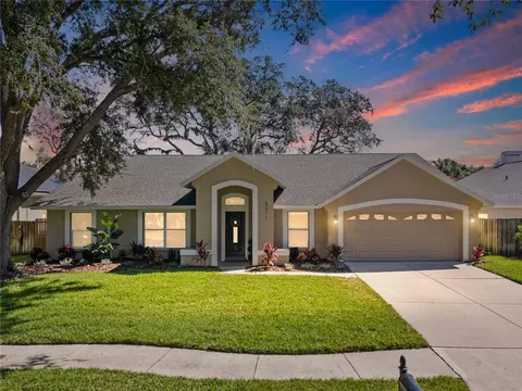 5311 Windbrush Dr, Tampa, FL 33625