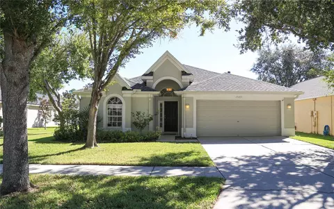 15431 Lake Bella Vista Dr, Tampa, FL 33625