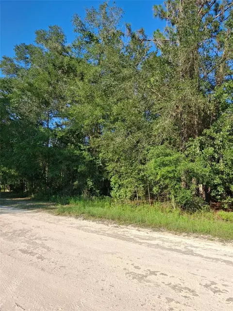 13378 Canyon Swallow Rd, Weeki Wachee, FL 34614