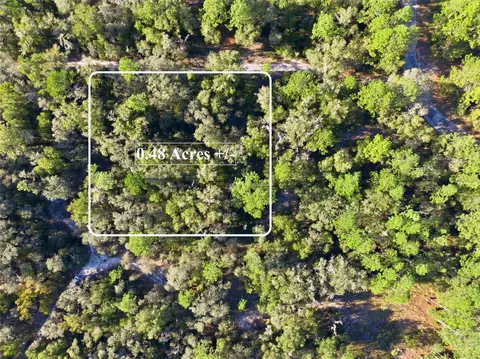 7570 W Pixie Ln, Dunnellon, FL 34433 photo 1