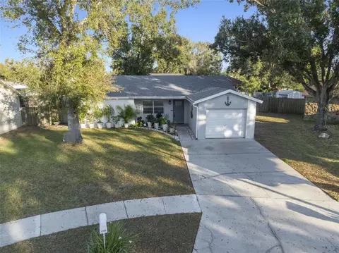 View/Area - 11305 Silverleaf Ct, Riverview, FL 33579 photo 1 of 4
