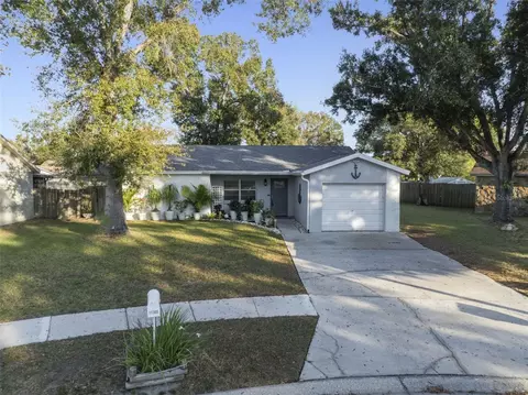 Exterior - 11305 Silverleaf Ct, Riverview, FL 33579 photo 2 of 9
