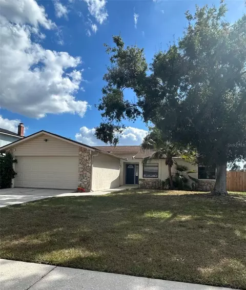 5614 Tern Ct, Tampa, FL 33625