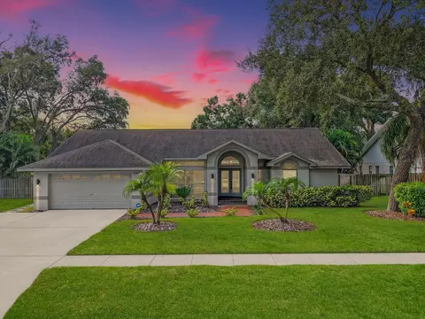 3805 Cliffdale Dr, Valrico, FL 33594