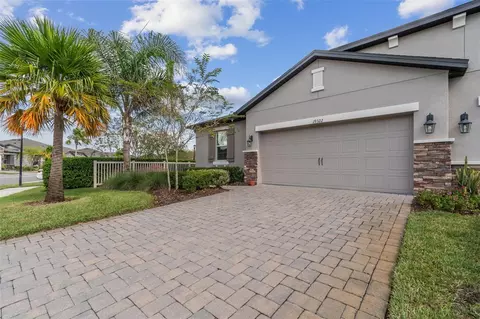 19322 Hawk Valley Dr, Tampa, FL 33647