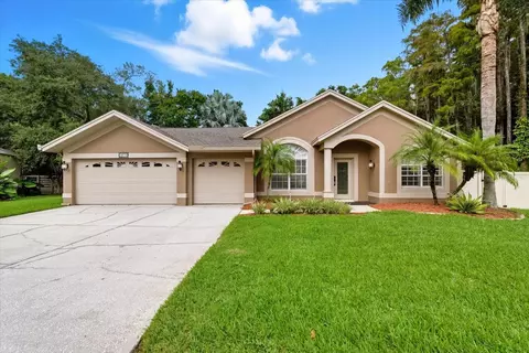 4875 Eagle Cove North Dr, Palm Harbor, FL 34685