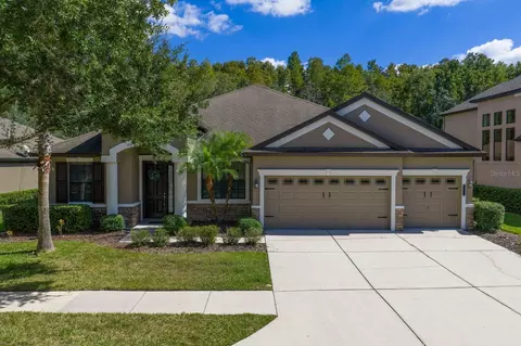 7911 Hampton Lake Dr, Tampa, FL 33647