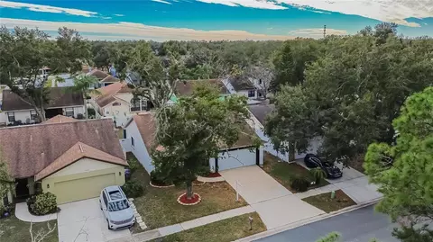 View/Area - 11005 Kenbrook Dr, Riverview, FL 33578 photo 6 of 22