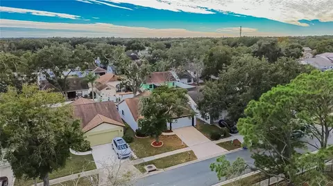 View/Area - 11005 Kenbrook Dr, Riverview, FL 33578 photo 7 of 22