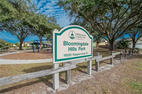 Other - 11005 Kenbrook Dr, Riverview, FL 33578 photo 8 of 12