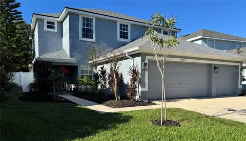 9323 Mandrake Ct, Tampa, FL 33647
