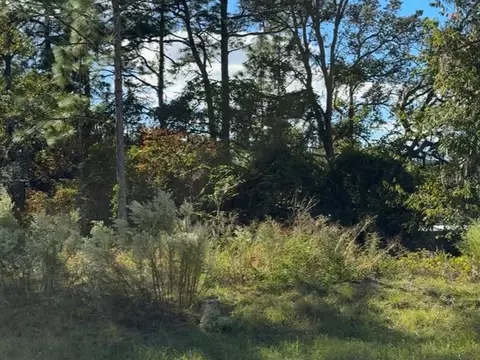 7800 N Primrose Dr, Citrus Springs, FL 34434