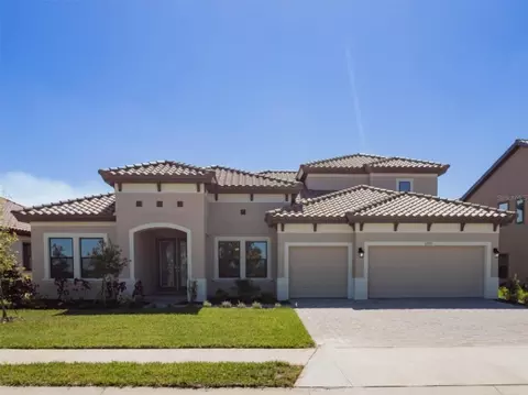 13733 Vista Oaks Ct, Parrish, FL 34219