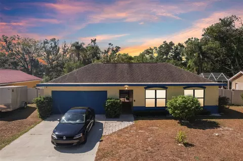 14804 Carnation Dr, Tampa, FL 33613
