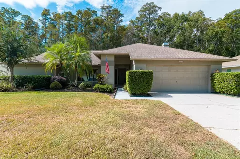 3238 Glenridge Dr, Palm Harbor, FL 34685