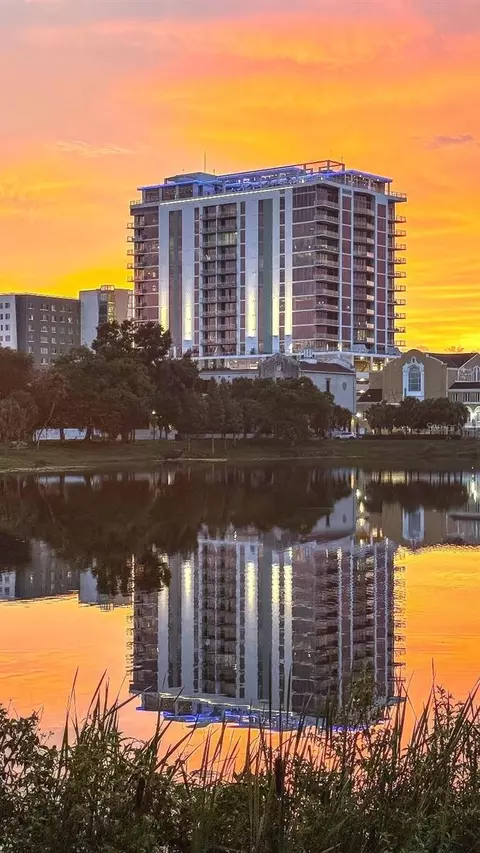 777 3rd Ave N #1105, Saint Petersburg, FL 33701