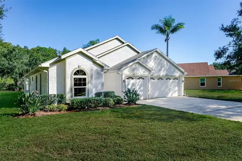 315 Tavernier Dr, Oldsmar, FL 34677