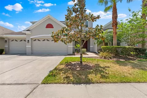 10511 Mistflower Ln, Tampa, FL 33647