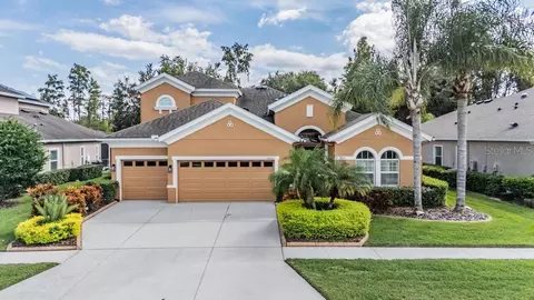 19402 Autumn Chase Ct, Land O Lakes, FL 34638