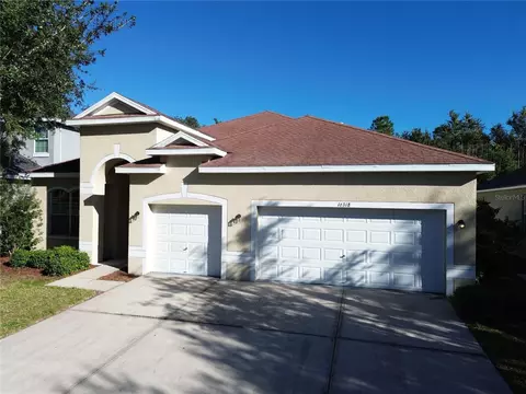 16318 Bridgelawn Ave, Lithia, FL 33547