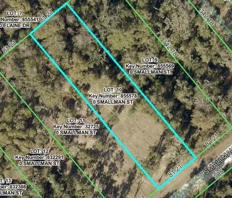 Smallman Street, Webster, FL 33597