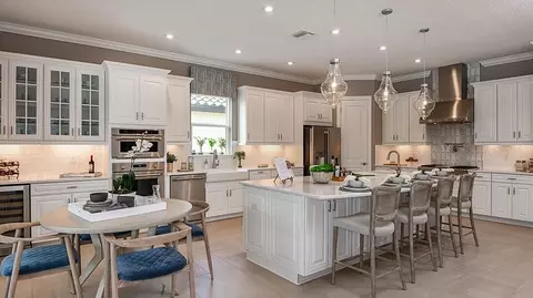 29620 Imperati Blvd, Wesley Chapel, FL 33543