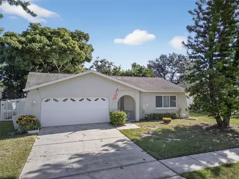 1993 Citrus Hill Rd, Palm Harbor, FL 34683