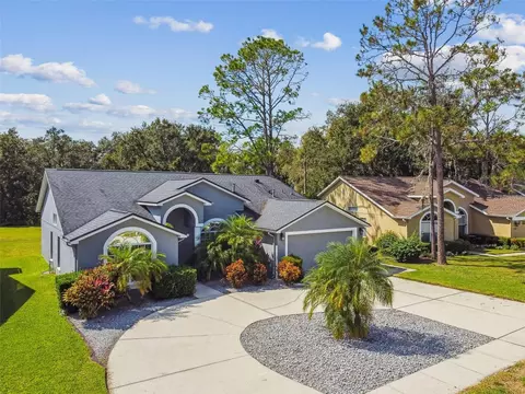 5543 Foxtail Ct, Wesley Chapel, FL 33543