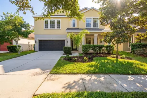 Exterior - 14256 Blue Dasher Dr, Riverview, FL 33569 photo 9 of 9
