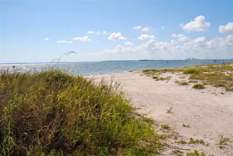 View/Area - 14256 Blue Dasher Dr, Riverview, FL 33569 photo 12 of 12
