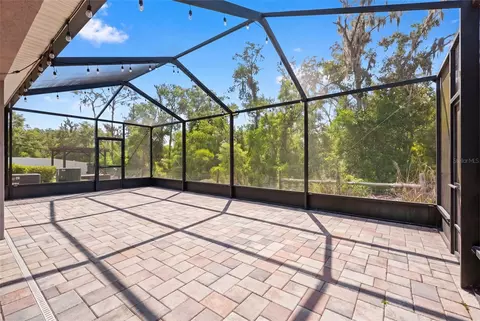 Exterior - 14256 Blue Dasher Dr, Riverview, FL 33569 photo 8 of 9