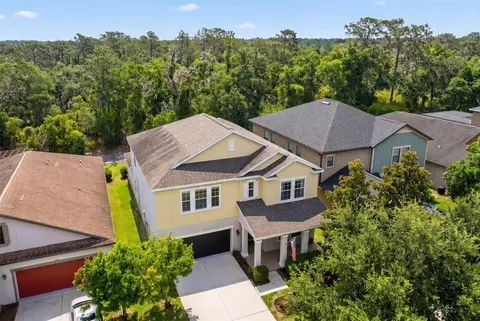 View/Area - 14256 Blue Dasher Dr, Riverview, FL 33569 photo 2 of 12