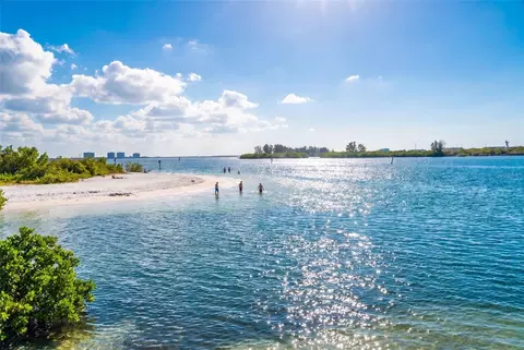 View/Area - 14256 Blue Dasher Dr, Riverview, FL 33569 photo 11 of 12