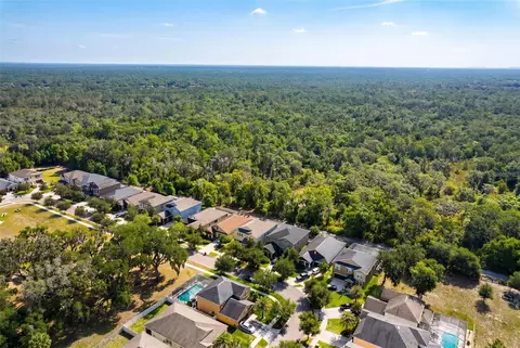 View/Area - 14256 Blue Dasher Dr, Riverview, FL 33569 photo 5 of 12