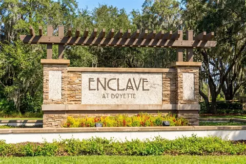 View/Area - 14256 Blue Dasher Dr, Riverview, FL 33569 photo 1 of 12