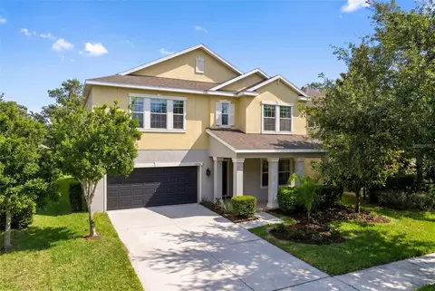 Exterior - 14256 Blue Dasher Dr, Riverview, FL 33569 photo 2 of 9