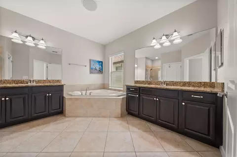 Bath - 14256 Blue Dasher Dr, Riverview, FL 33569 photo 3 of 9