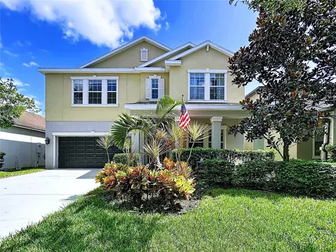 14256 Blue Dasher Dr, Riverview, FL 33569