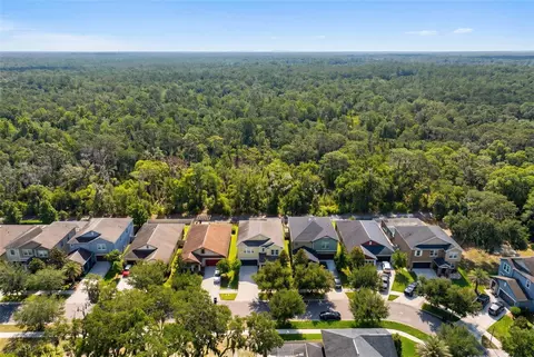 View/Area - 14256 Blue Dasher Dr, Riverview, FL 33569 photo 4 of 12