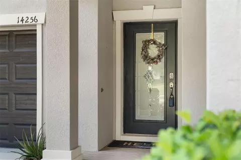 Entry Way - 14256 Blue Dasher Dr, Riverview, FL 33569 photo 1 of 12